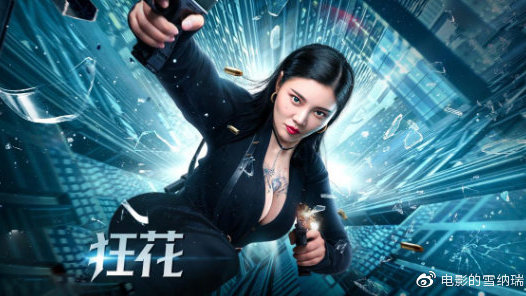吉布提假的多少钱